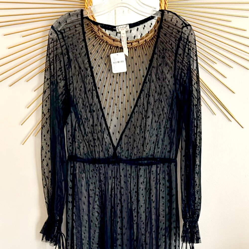 Free People Sheer Black Maxi Dress